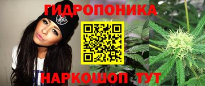 дмт Пушкино