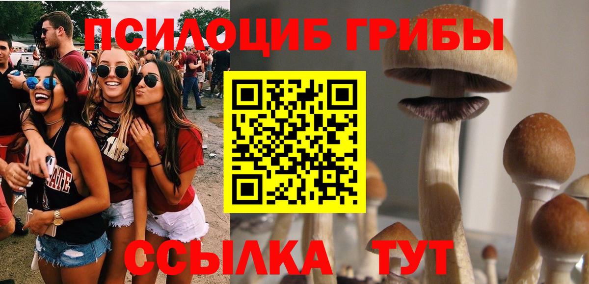 Азнакаево  Псилоцибиновые грибы GOLDEN TEACHER  Вход с VPN 